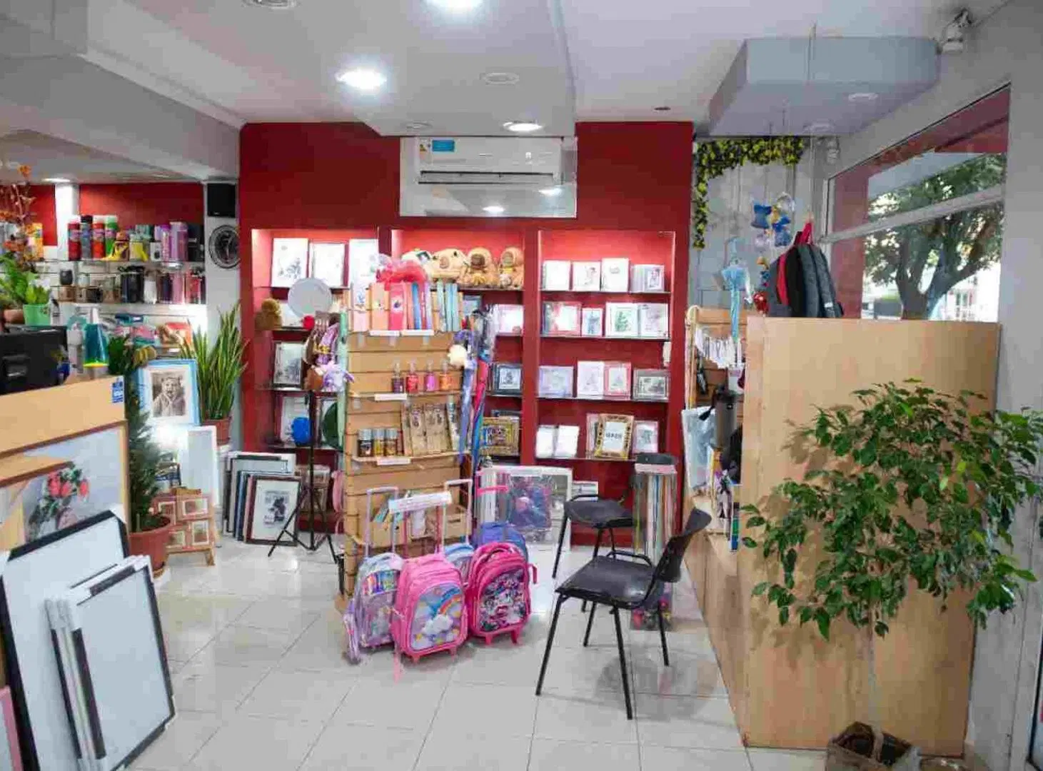 Casa con Local en Venta sobre Patricio Diez 2