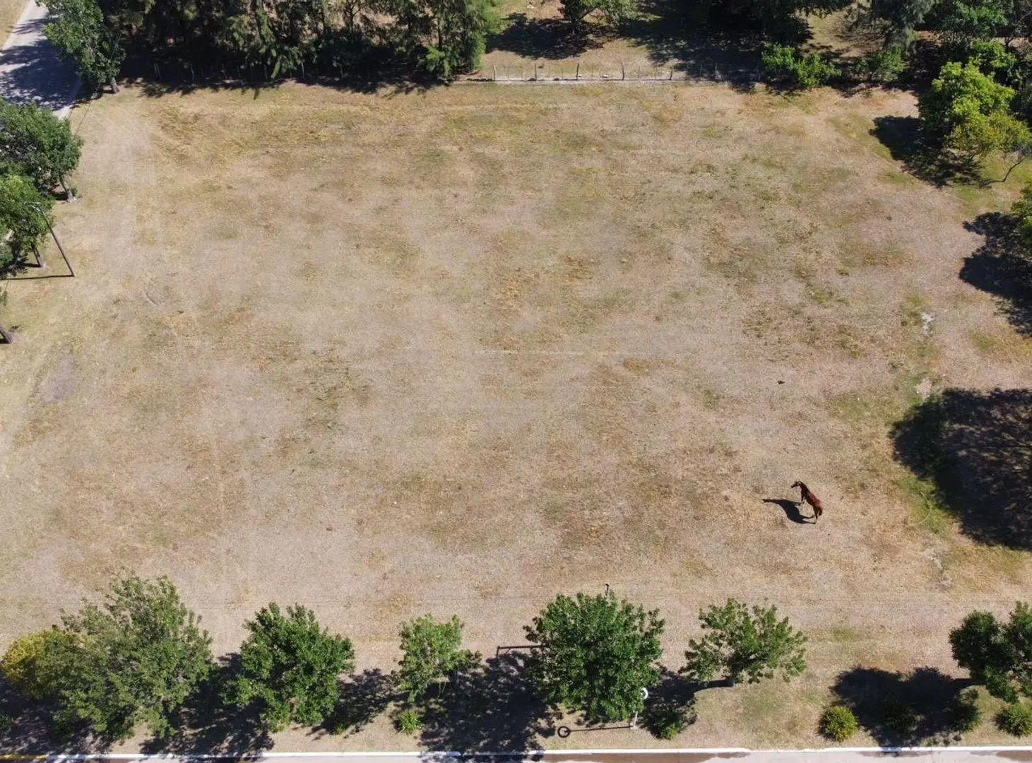 Se VENDE terreno en el centro de Las Garzas 4