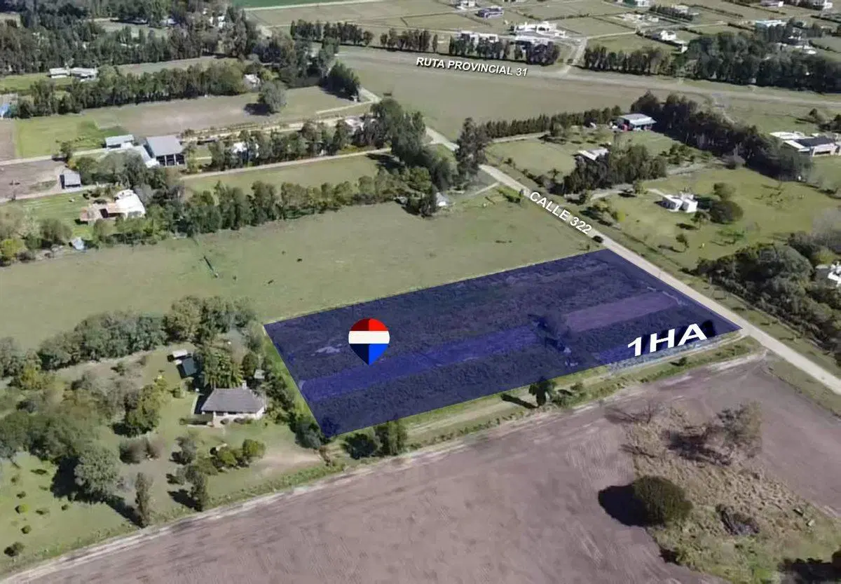 Se vende 1HA acceso norte de Avellaneda 2