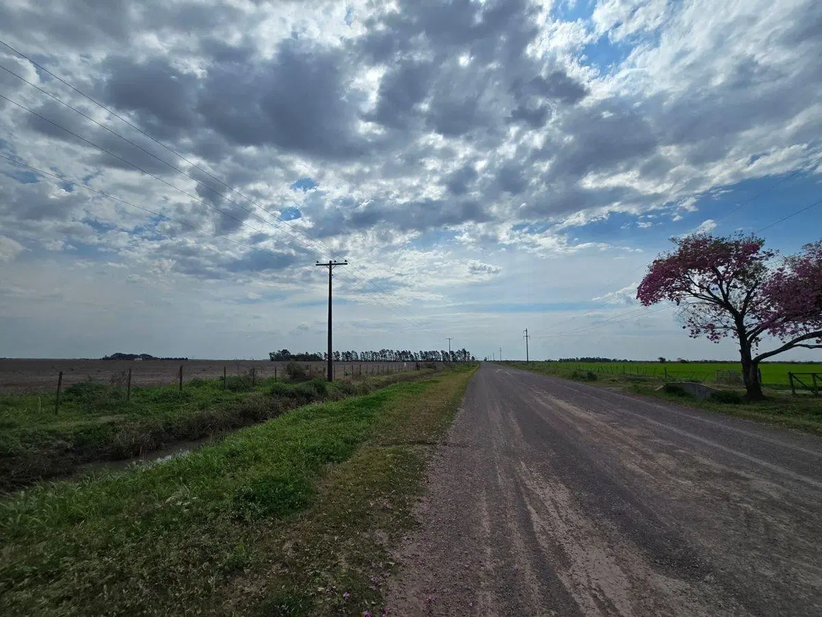 Se vende campo agrícola 5