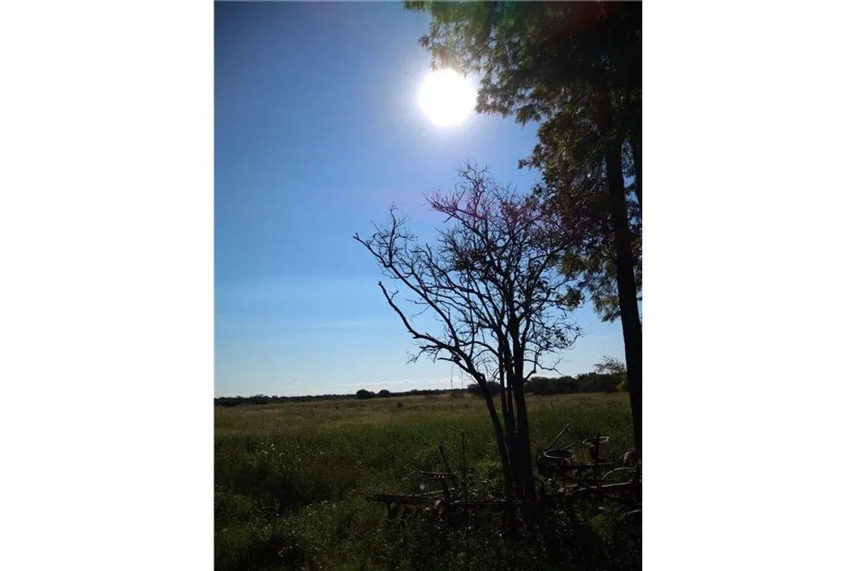 SE VENDE CAMPO GANADERO EN MARGARITA 3