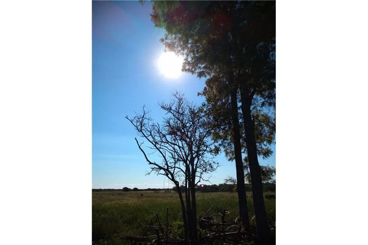 SE VENDE CAMPO GANADERO EN MARGARITA 5