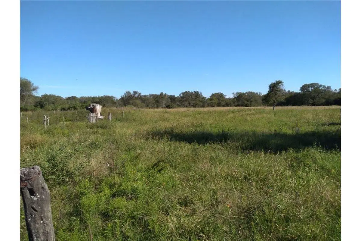 SE VENDE CAMPO GANADERO EN MARGARITA 1