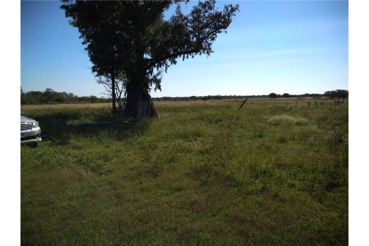 SE VENDE CAMPO GANADERO EN MARGARITA 2