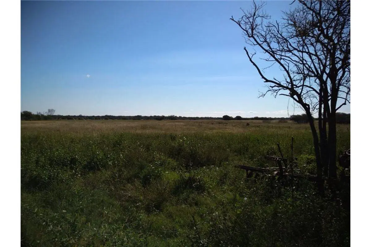 SE VENDE CAMPO GANADERO EN MARGARITA 4