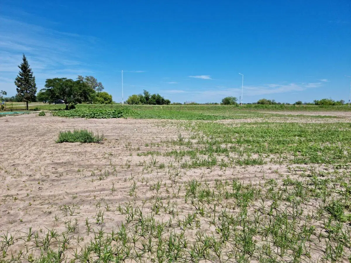 Campo EN VENTA  sobre Ruta Nac. 11 3