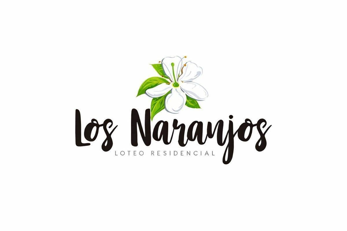 Foto de SE VENDE TERRENO EN LOS NARANJOS RECONQUISTA, imagen 1