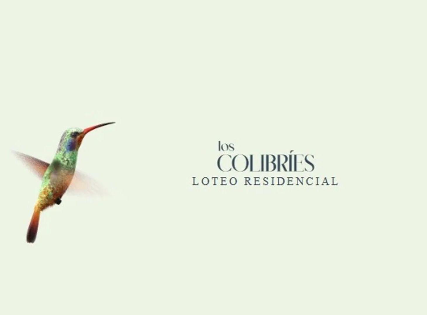Foto de En Venta lote 31 en esquina Loteo Los Colibries, imagen 3