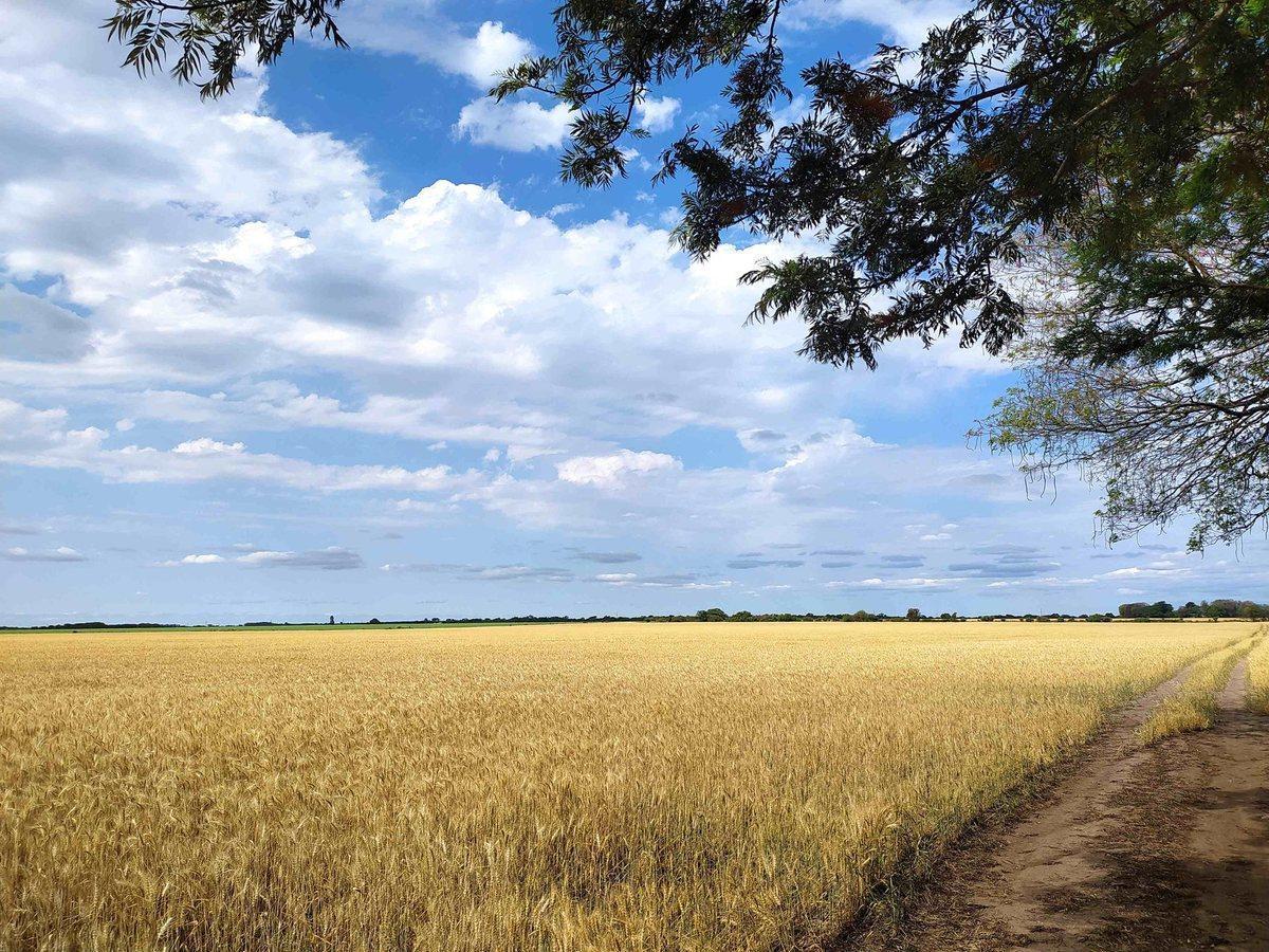 Foto de Se vende CAMPO mixto en Víctor Manuel II, imagen 3