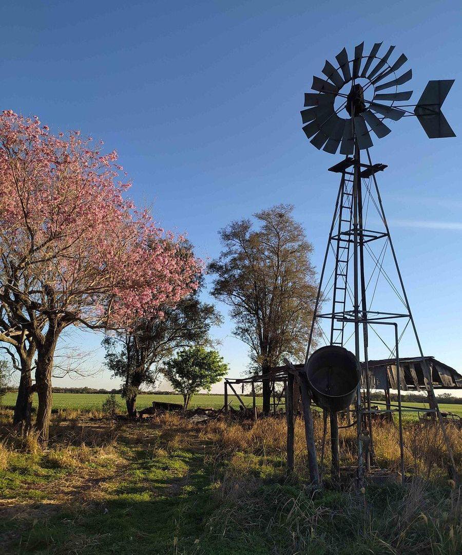 Foto de Se vende CAMPO mixto en Víctor Manuel II, imagen 2