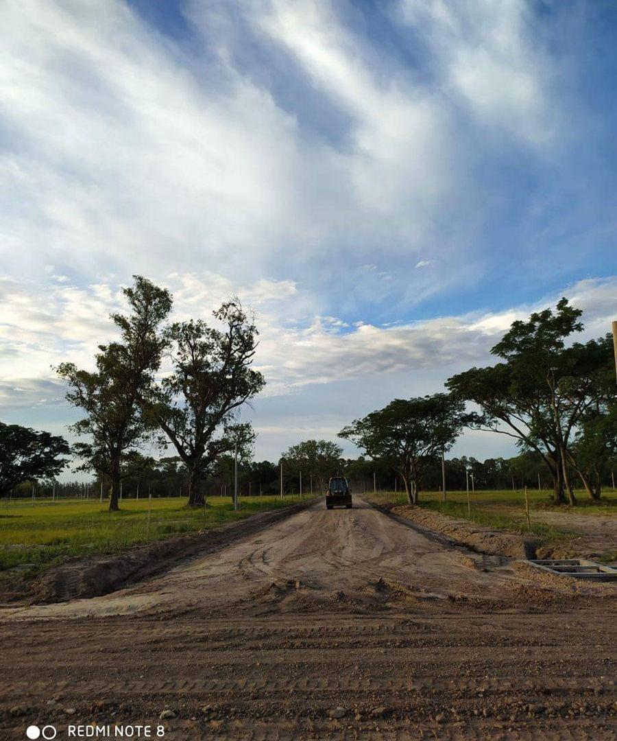 Foto de LOTEO RINCON DE LUNA EN VENTA EN RQTA ., imagen 5