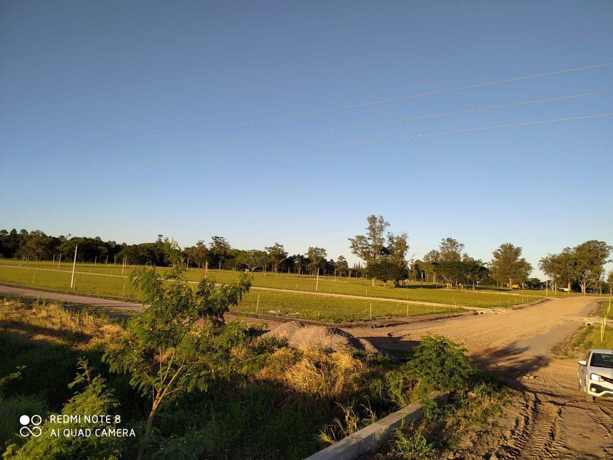 Foto de LOTEO RINCON DE LUNA EN VENTA EN RQTA ., imagen 3