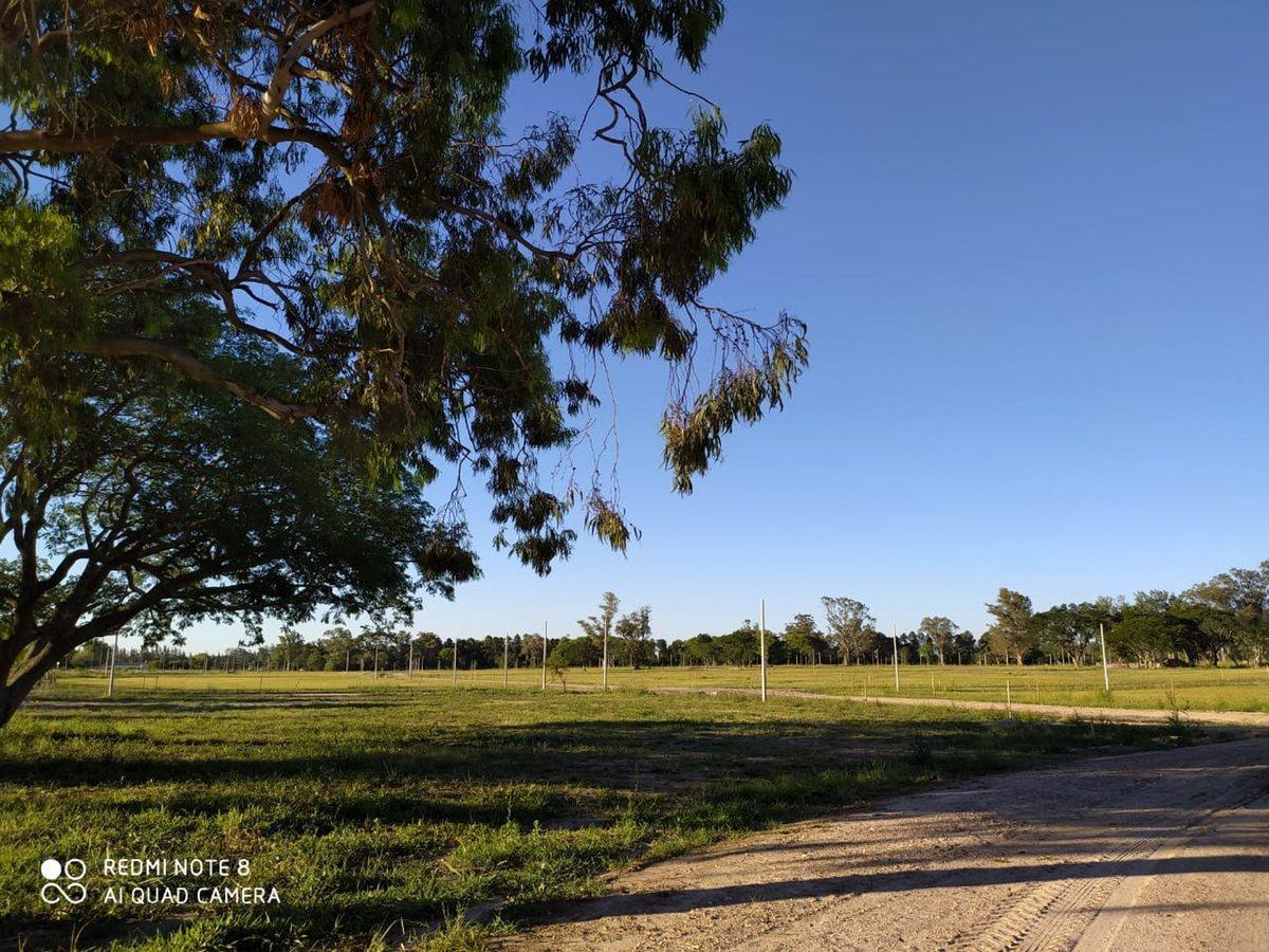Foto de LOTEO RINCON DE LUNA EN VENTA EN RQTA ., imagen 2