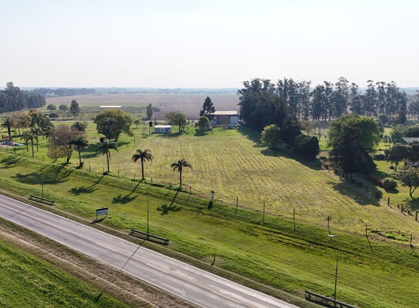Foto de SE VENDE AMPLIO TERRENO EN AVELLANEDA, imagen 5