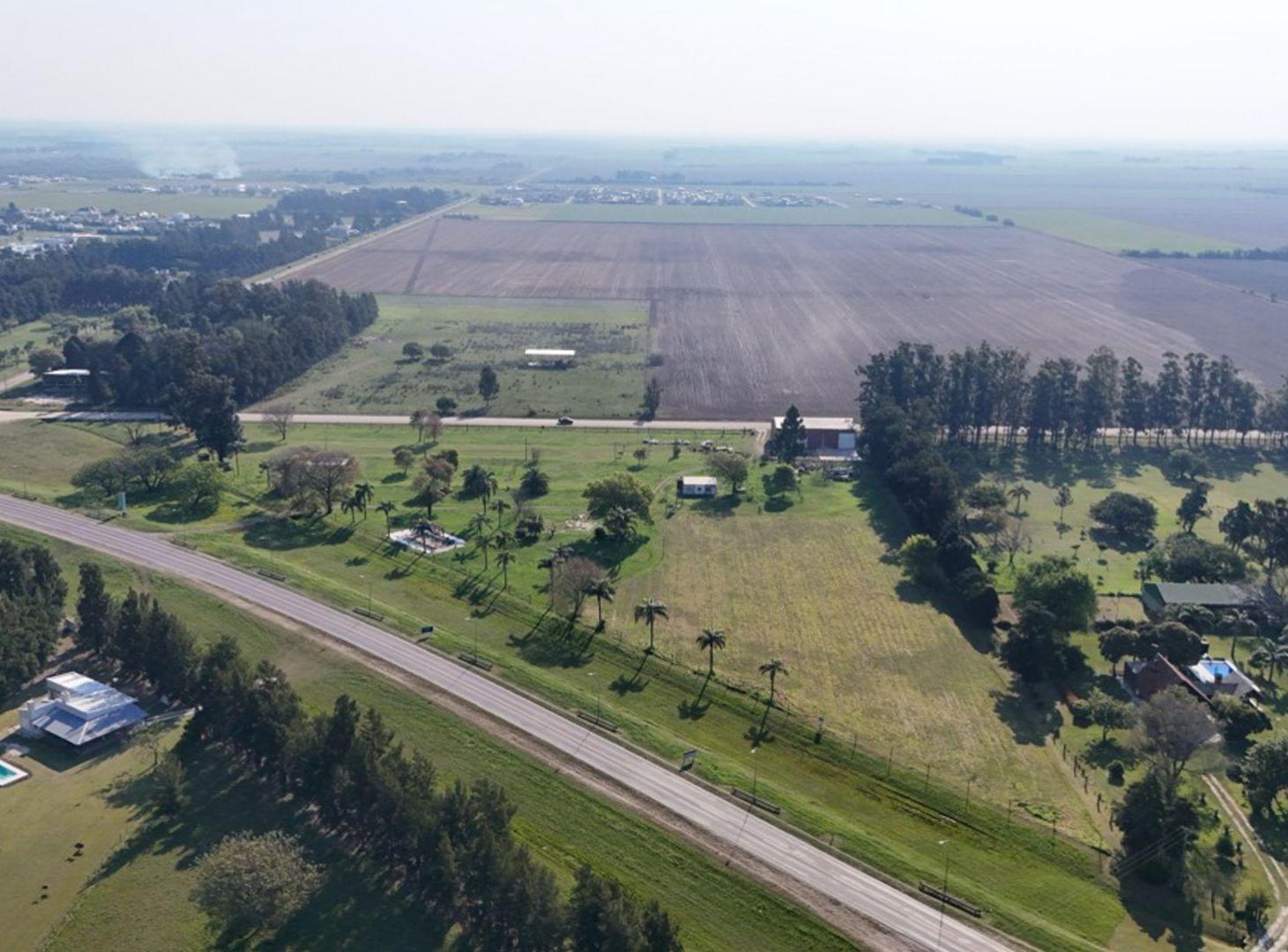 Foto de SE VENDE AMPLIO TERRENO CON CASA EN AVELLANEDA, imagen 4