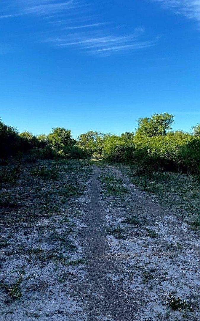 Foto de CAMPO GANADERO EN LA GALLARETA, imagen 4