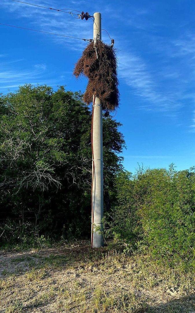 Foto de CAMPO GANADERO EN LA GALLARETA, imagen 5