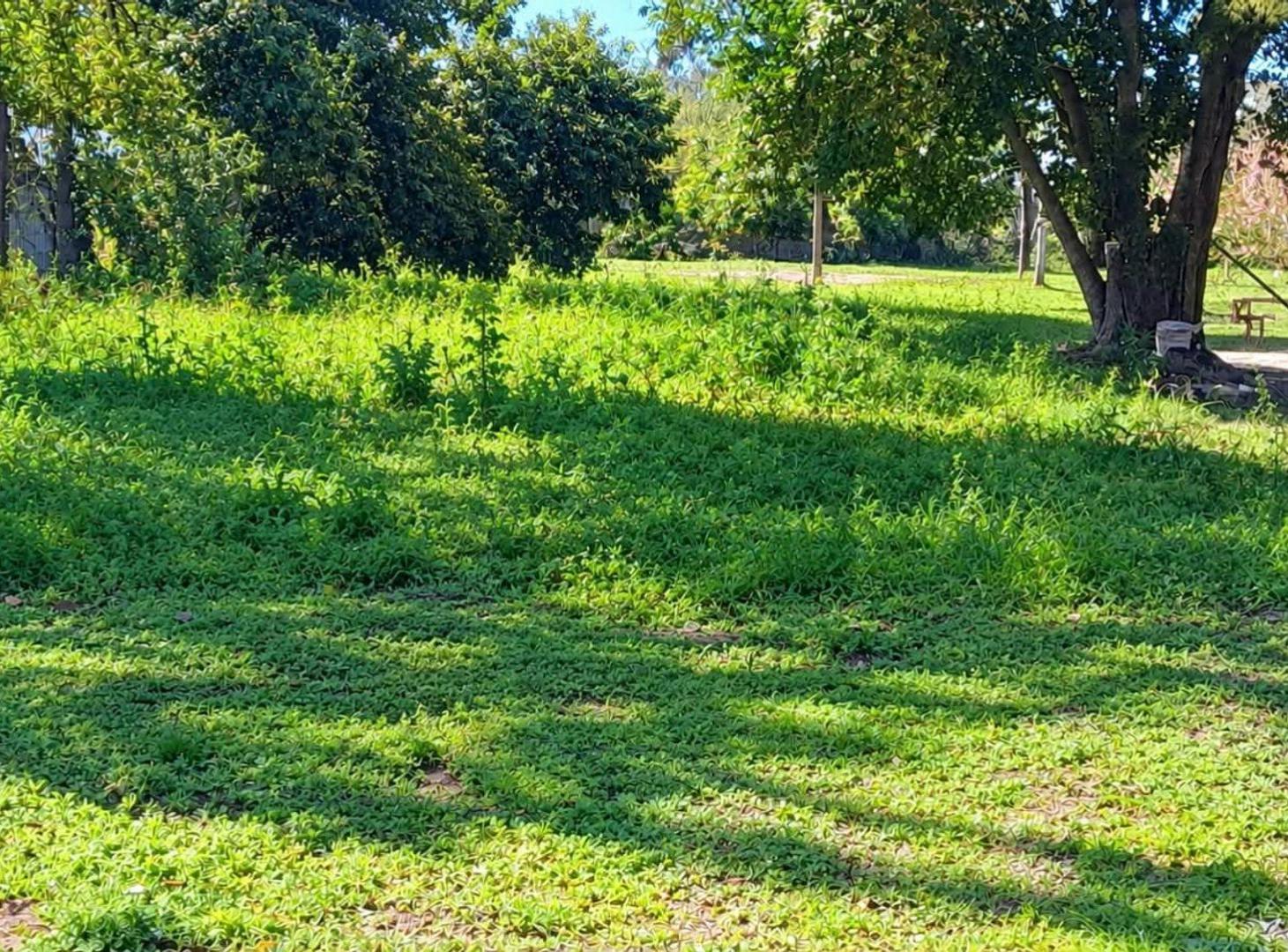 Foto de Venta de Lote Las Garzas, imagen 2