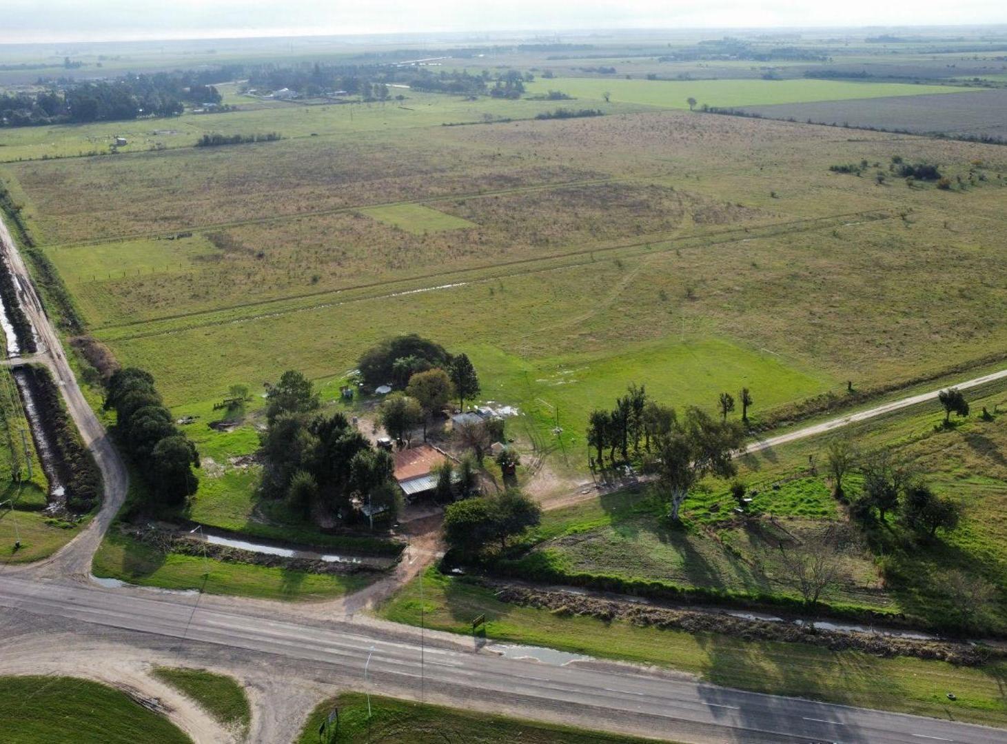 Foto de Se vende terreno a las afueras de Avellaneda., imagen 3