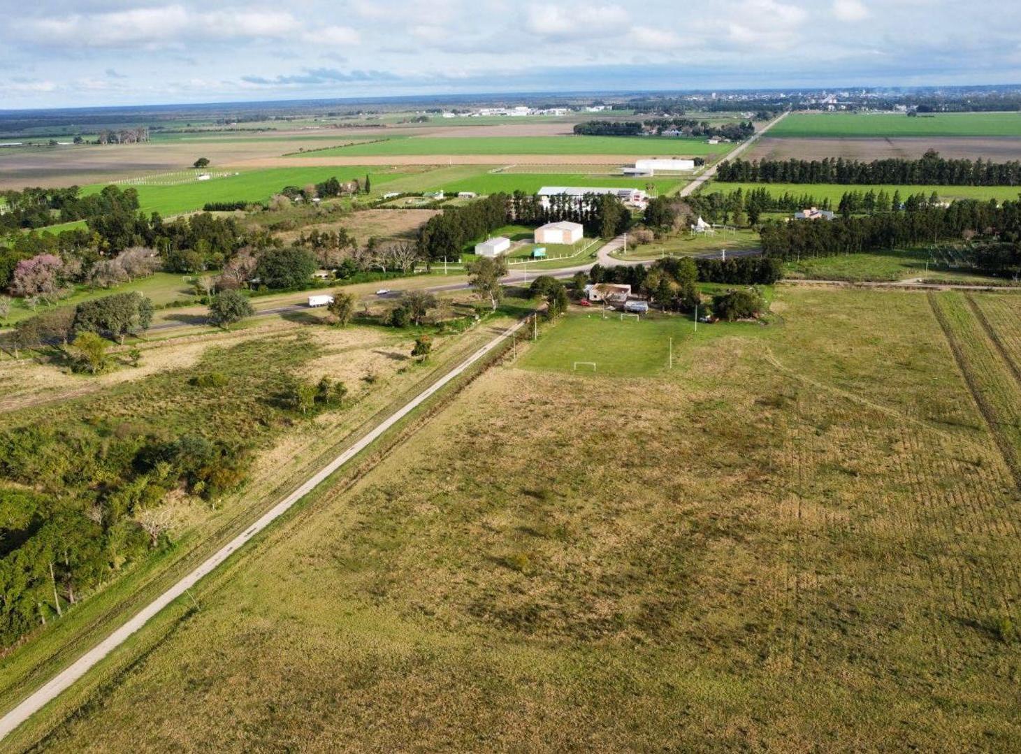 Foto de Se vende terreno a las afueras de Avellaneda., imagen 5