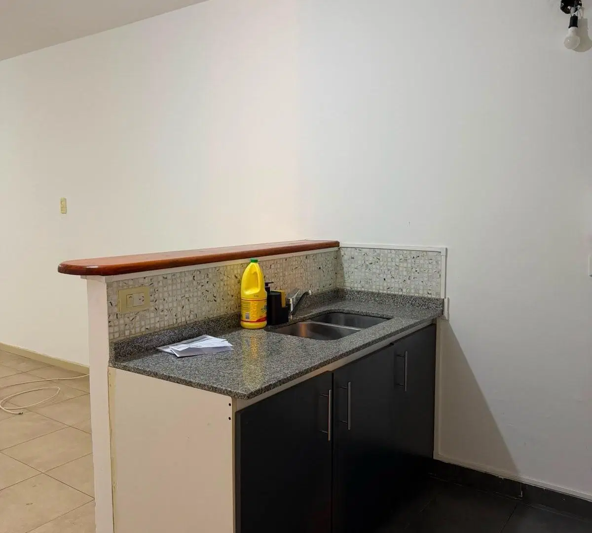 Departamento de 2 ambientes en PB con patio y dos baños en Villa del Parque 3