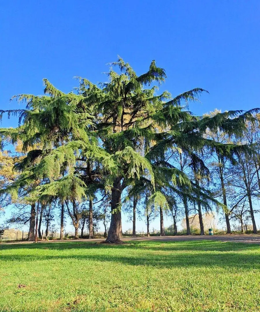 LOTE BARRIO PRIVADO AYRES DE CASARES VENTA 5