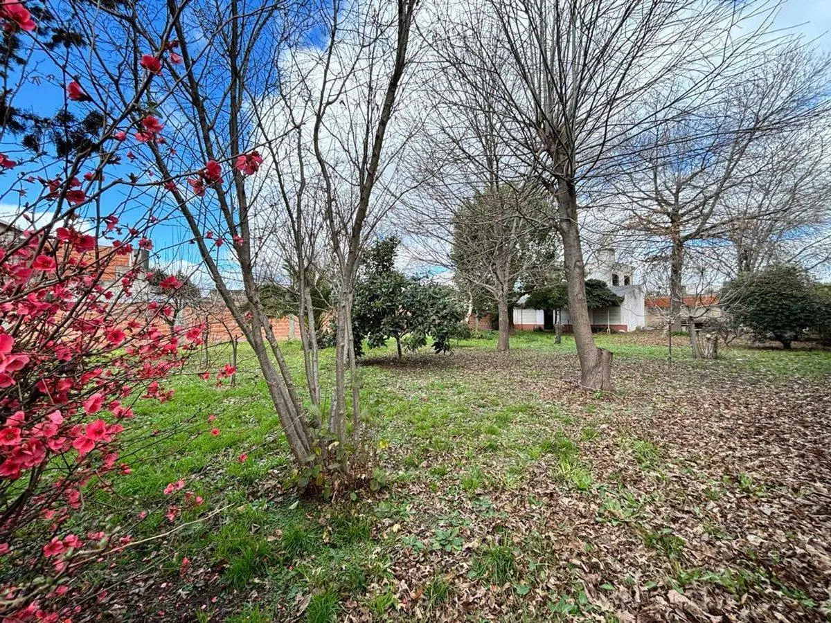 VENTA CASA EN GONZALEZ CATAN OPORTUNIDAD 3