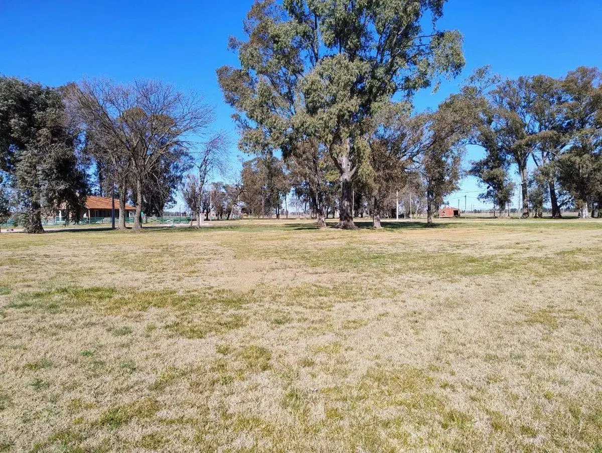 Terreno en Venta en Fincas de San Vicente Jóven 2