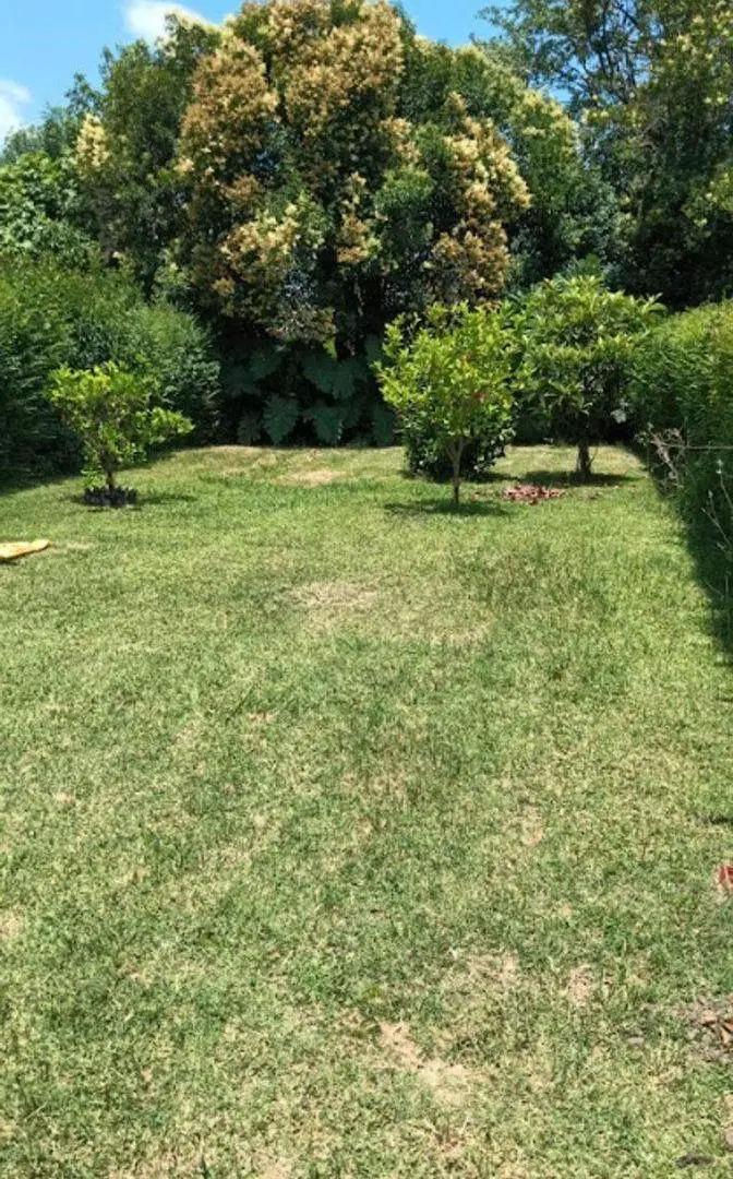 VENTA CASA 4 AMBIENTES MORENO 5