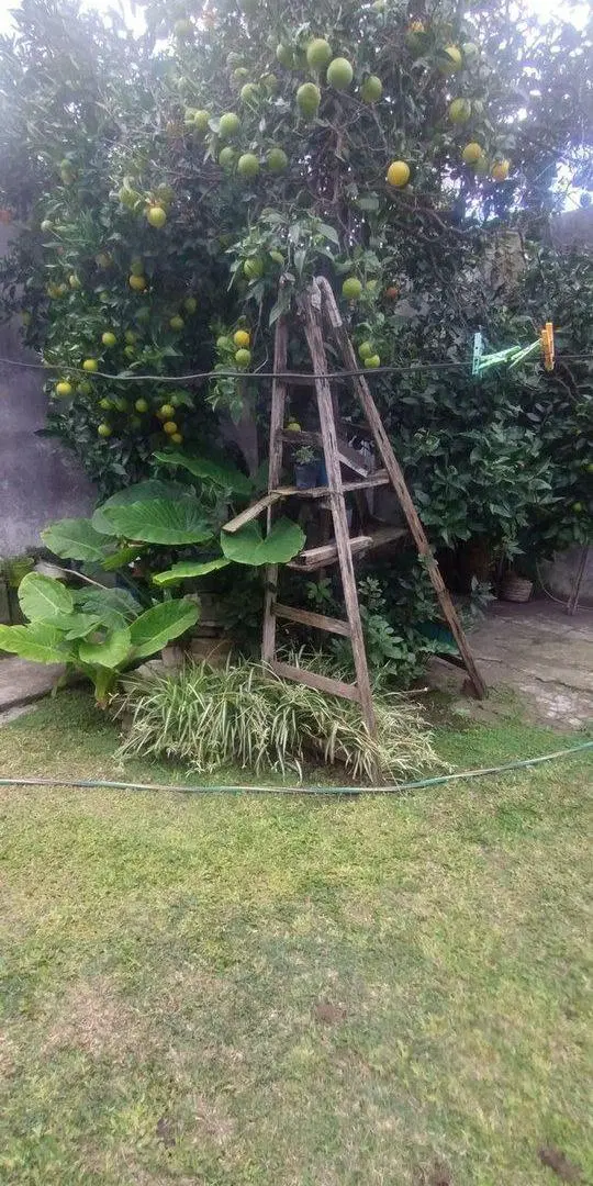 VENTA CASA 4 AMBIENTES PABLO PODESTA 3