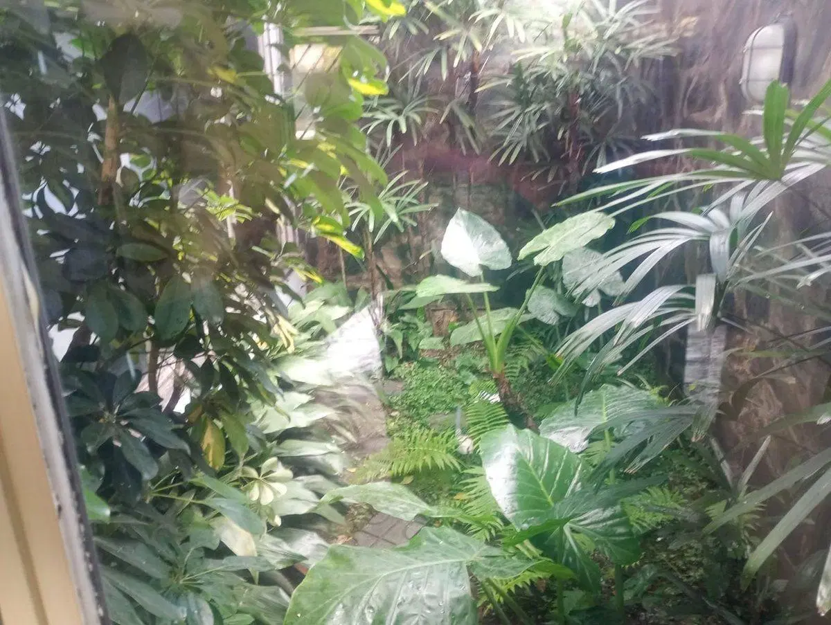 Venta monoambiente en Villa Luro con balcon 2