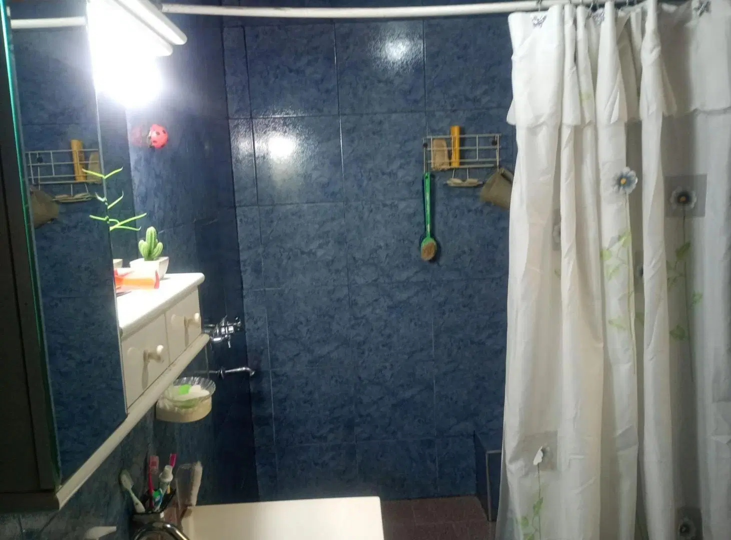 VENTA CASA 2 AMBIENTES MERLO 3