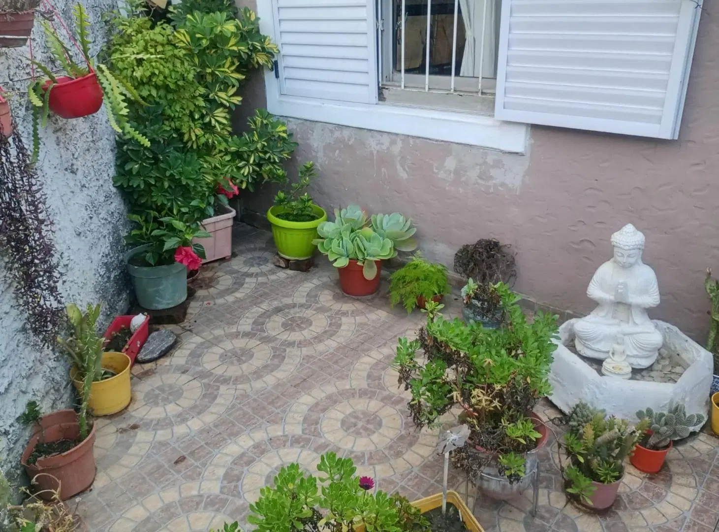 VENTA CASA 2 AMBIENTES MERLO 3