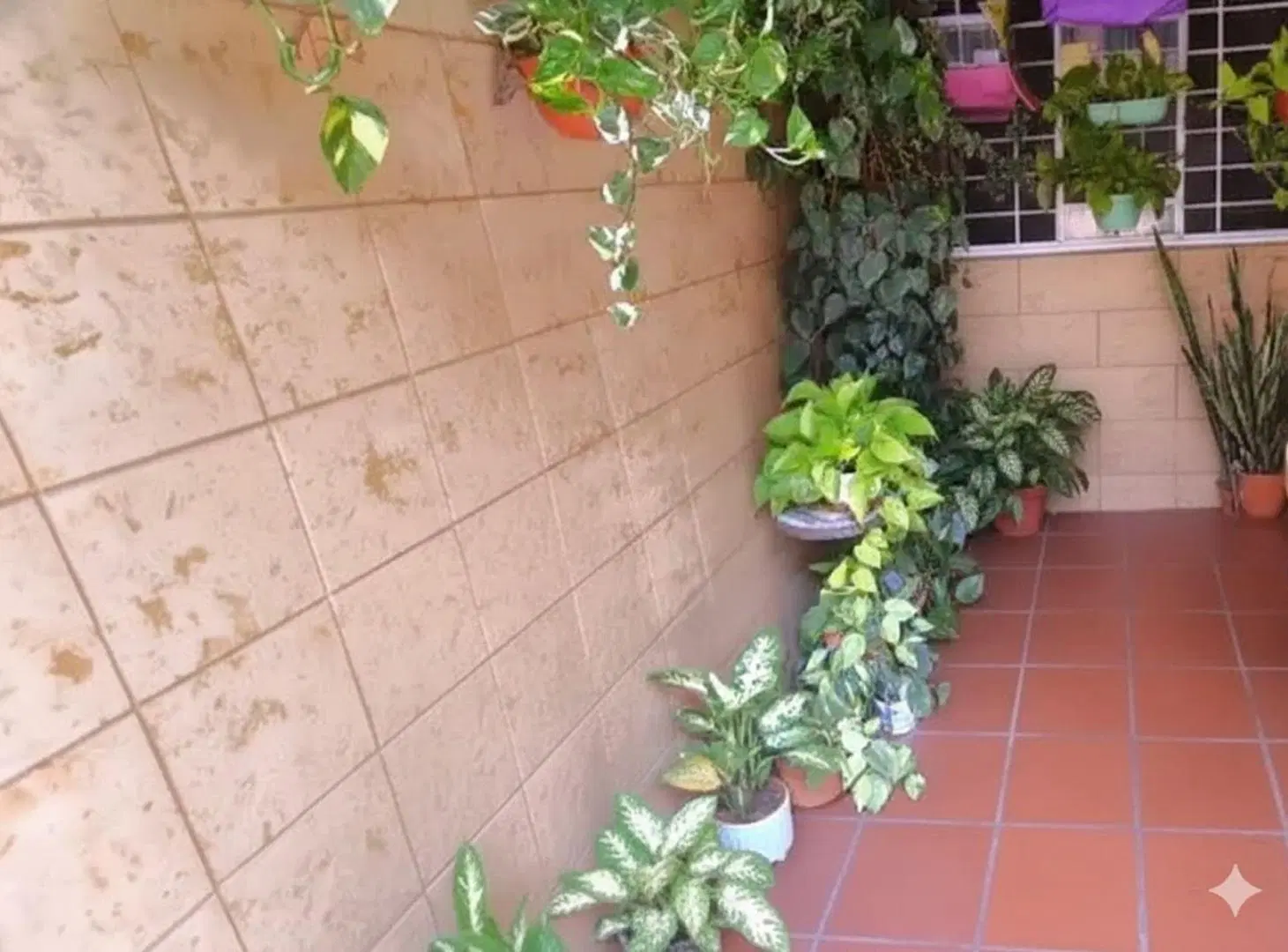 VENTA DUPLEX 4 AMBIENTES RAMOS MEJIA 5