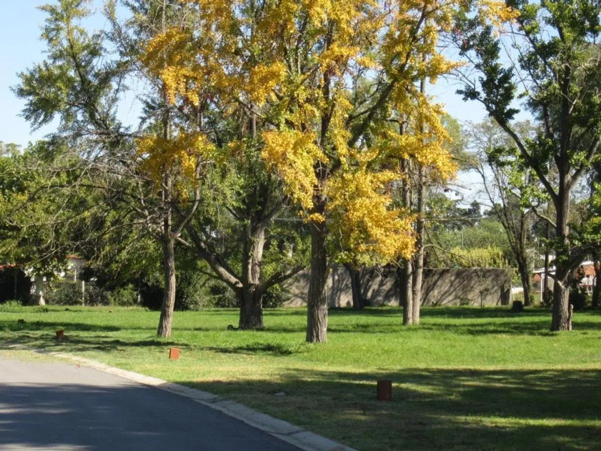 VENTA – LOTE EN SOLARES DE ZAPIOLA | MORENO 6