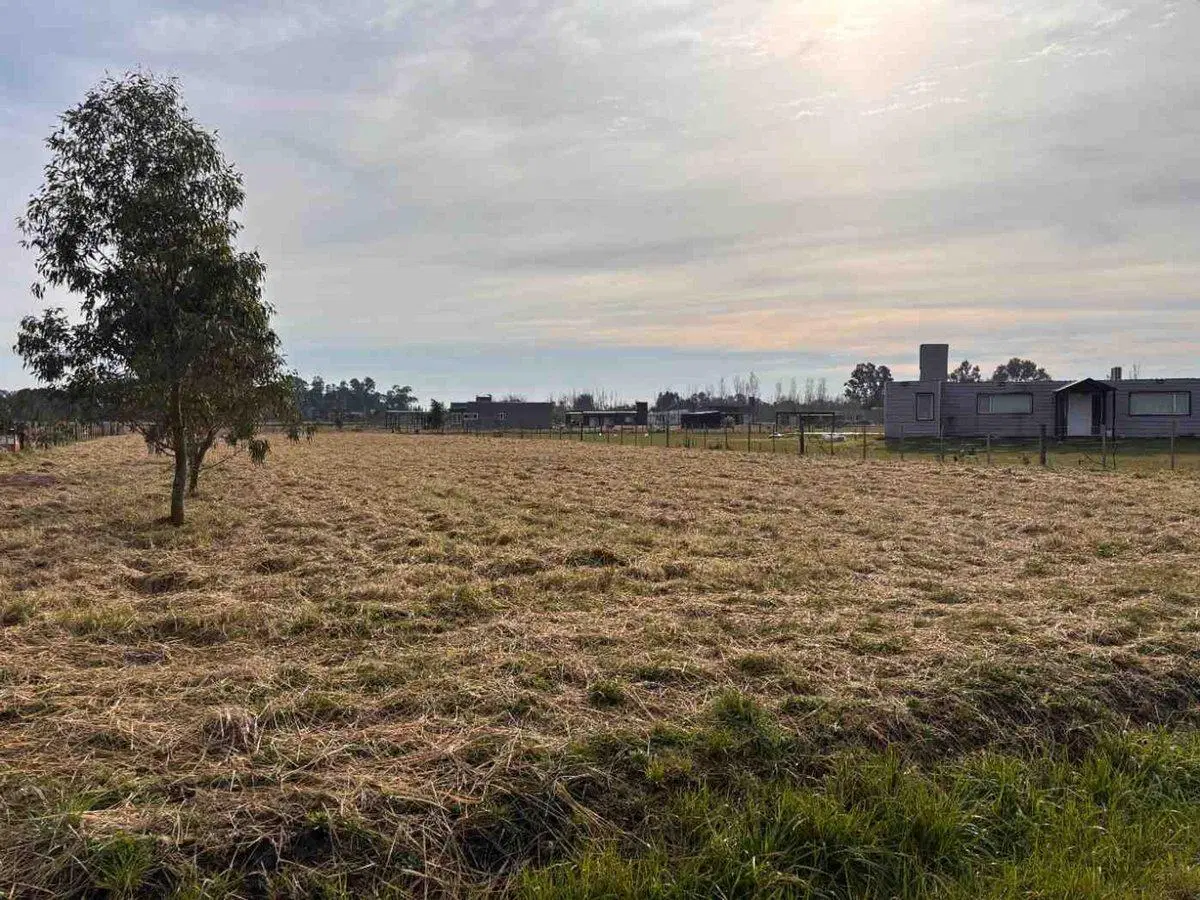 VENTA LOTE EN SAN MIGUEL DEL MONTE 2