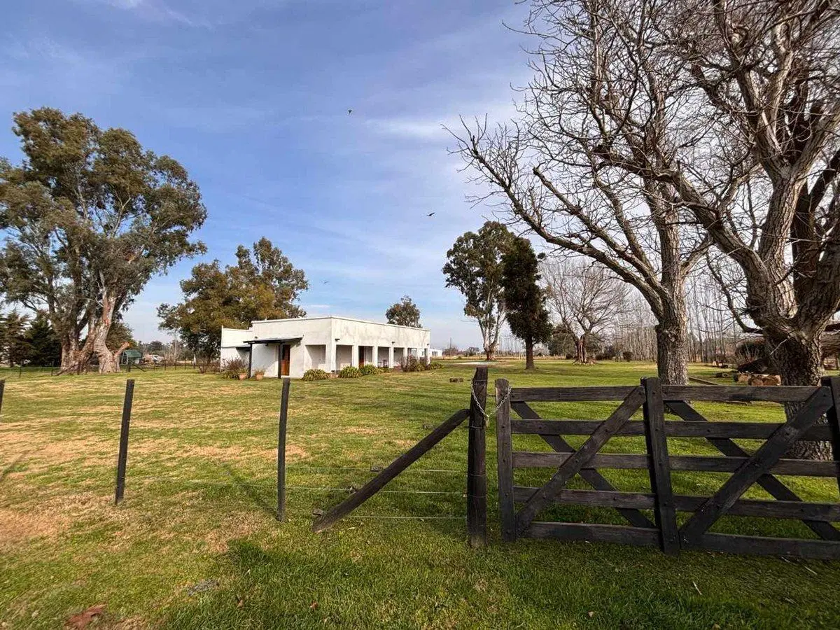 VENTA LOTE EN SAN MIGUEL DEL MONTE 8