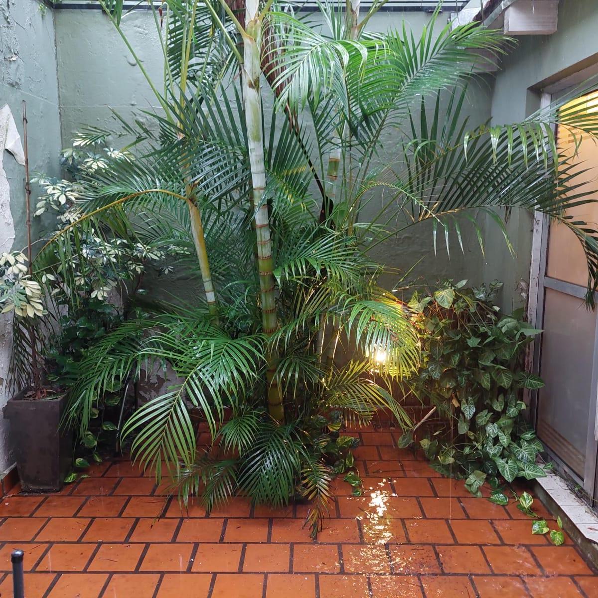 Venta - Departamento de 2 Dorm. P. B con Patio. 4