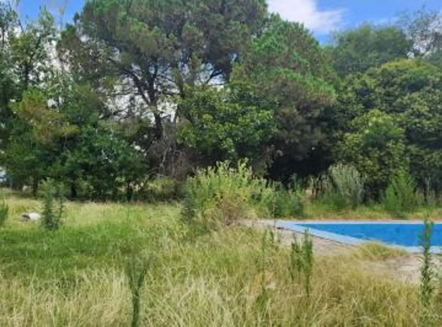 FRACCION DE 2 HA EN VENTA. PILAR DEL ESTE 5