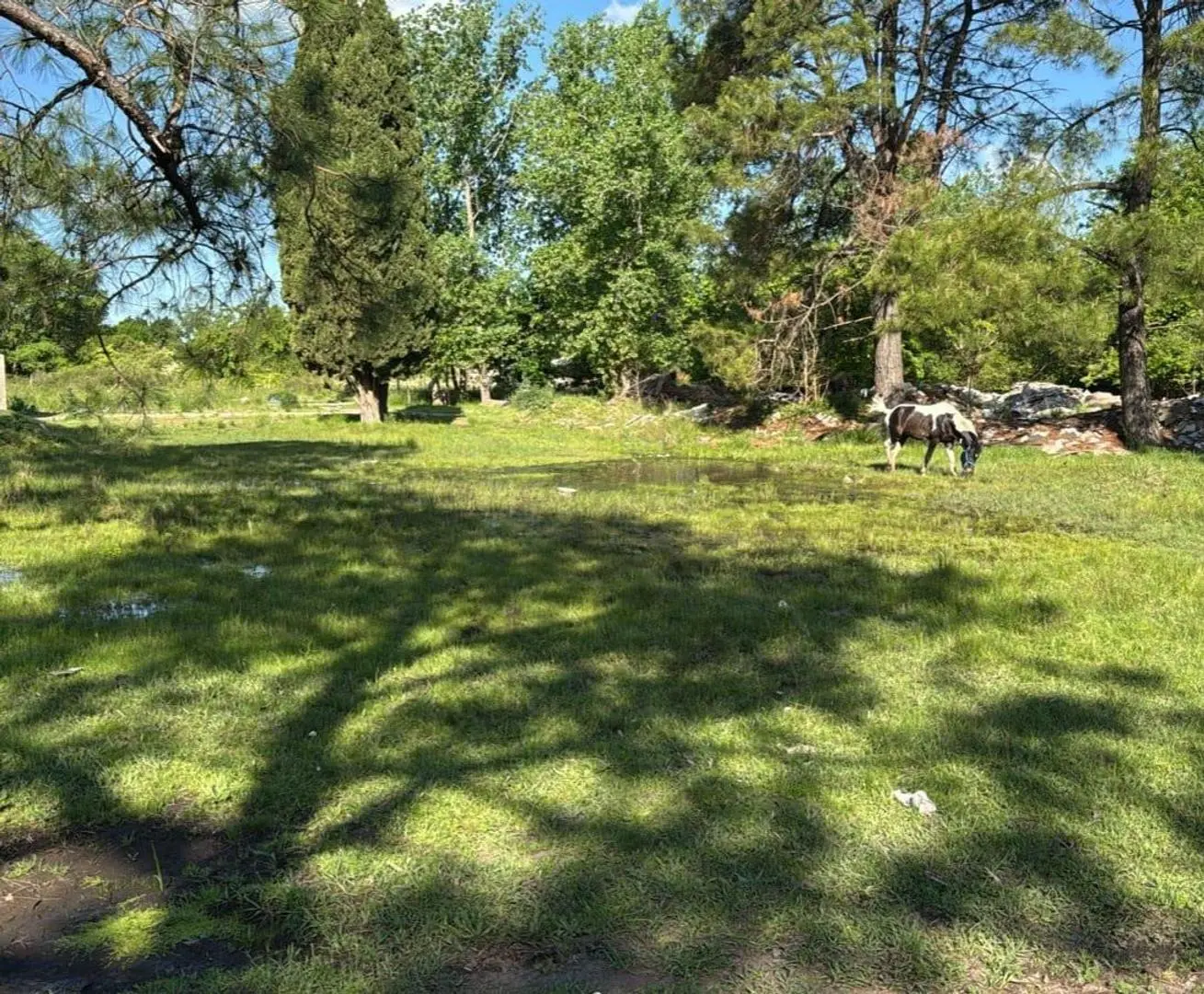FRACCION DE 2 HA EN VENTA. PILAR DEL ESTE 4