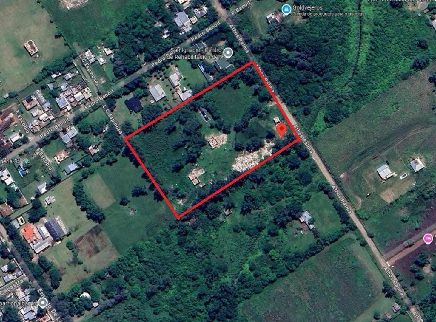 FRACCION DE 2 HA EN VENTA. PILAR DEL ESTE