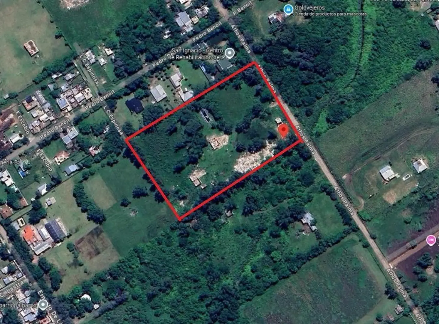 FRACCION DE 2 HA EN VENTA. PILAR DEL ESTE 3