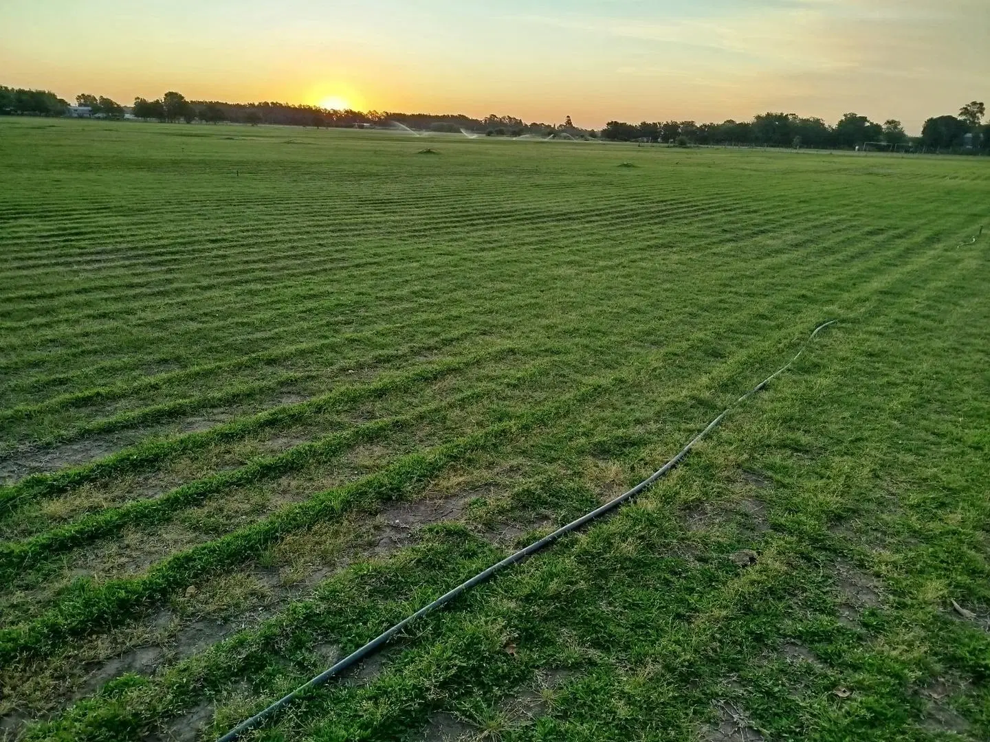 Impresionante Campo De 15 Hectareas En Venta En Baradero 4