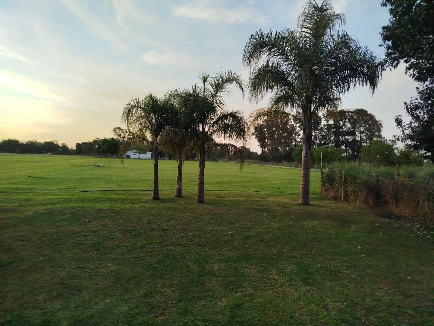 Impresionante Campo De 15 Hectareas En Venta En Baradero 5