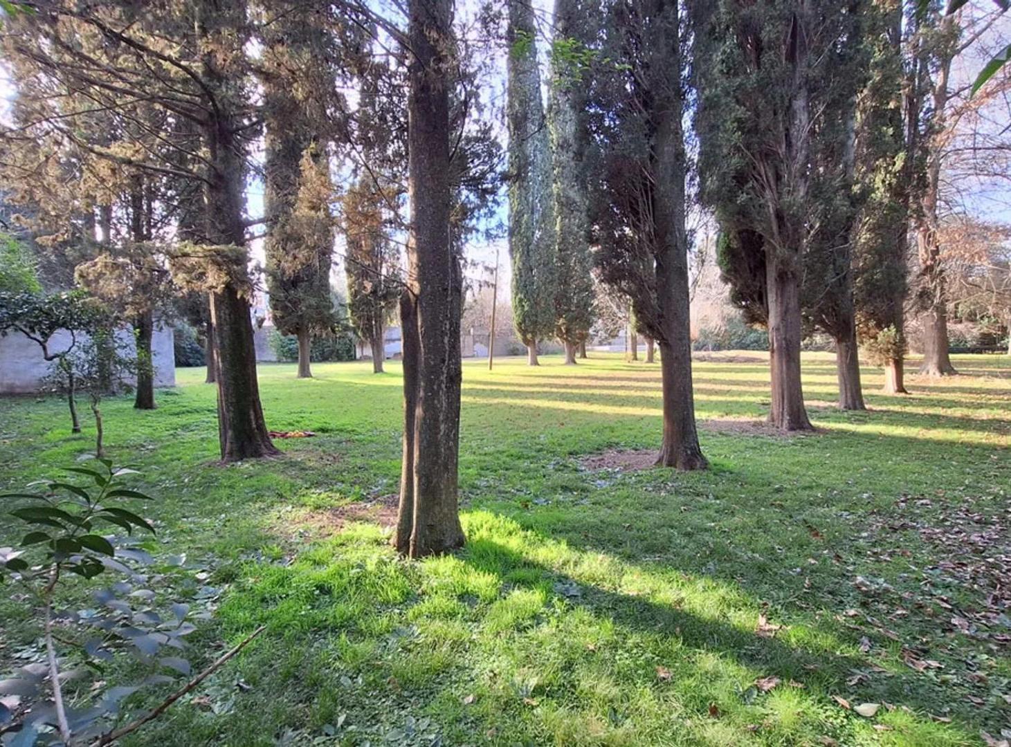Foto de Excelente Lote de 2.730 m² a 3 Minutos de Panamericana, imagen 3