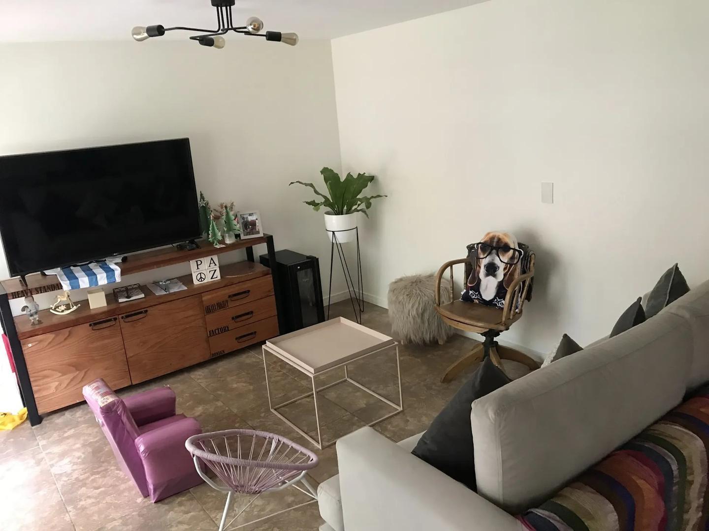 Foto de departamento 4 ambientes en venta apto credito Vicente Lopez, imagen 3