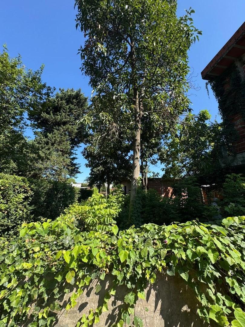 Terreno Lote en Venta en La Lonja, Pilar, G.B.A. Zona Norte