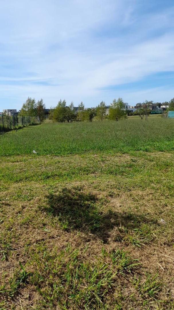 Foto de Terreno Lote en Venta en Santa Lucia, Pilar del Este, Pilar, imagen 5