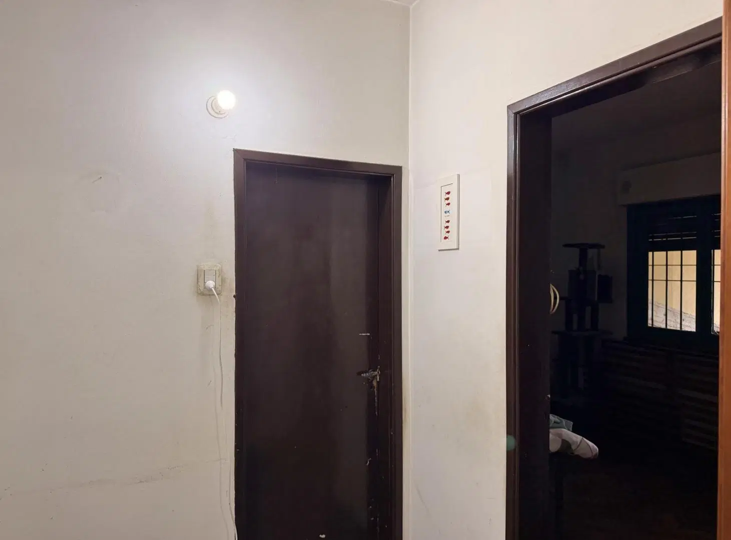 VENTA CASA LOTE 4 AMBIENTES CON PATIO 4