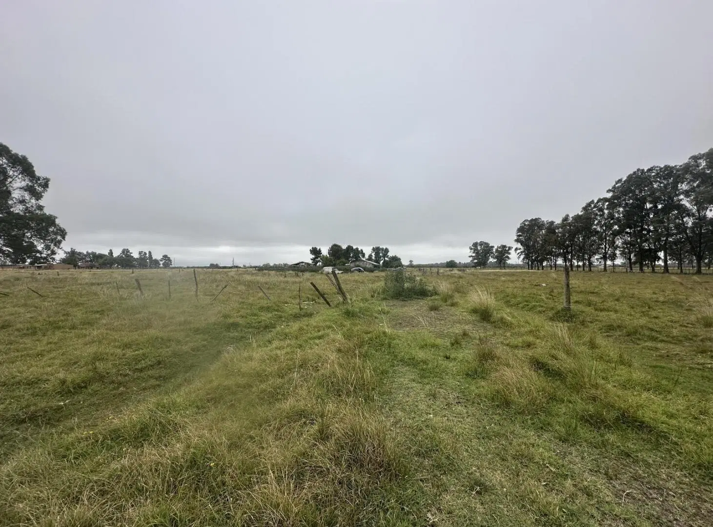 Campo de 6 Hectáreas a  metros de Ruta 6, San Vicente. 3